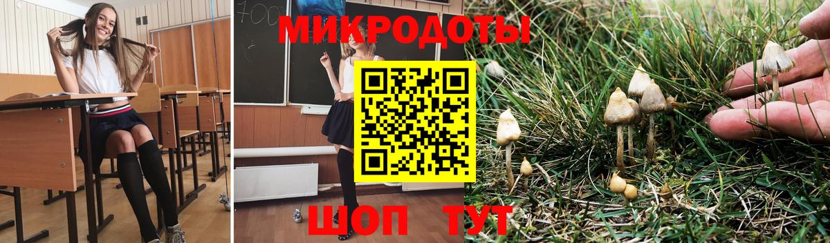 Псилоцибиновые грибы мухоморы Пушкино