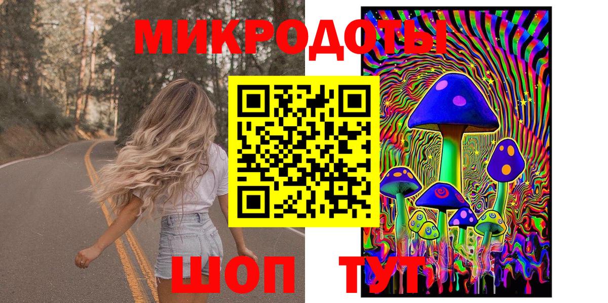 Галлюциногенные грибы Psilocybe  Вход с VPN  Пушкино  Псилоцибиновые грибы мицелий 